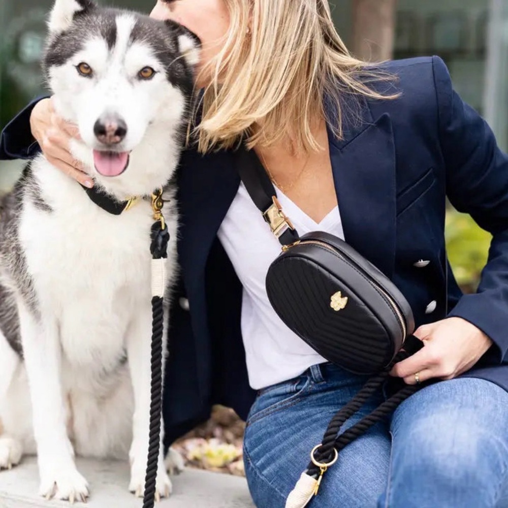 BLAIR BELT BAG | TREAT POUCH | DOG BELT BAG